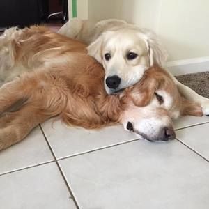 Meet your Posher, Jana